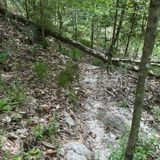 Clark Creek Primitive Trail, Mississippi - 669 Reviews, Map | AllTrails