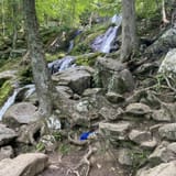Dark Hollow Falls Trail Virginia - EyJidWNrZXQiOiJhc3NldHMuYWxsdHJhaWxzLmNvbSIsImtleSI6InVwbG9hZHMvcGhvdG8vaW1hZ2UvNzY0OTQwNTgvYTViOWRkMTYyNDVkMDE0ZTZjYWRmMjMwN2E0ODc0YjUuanBnIiwiZWRpdHMiOnsidG9Gb3JtYXQiOiJqcGVnIiwicmVzaXplIjp7IndpZHRoIjoxNjAsImhlaWdodCI6MTYwLCJmaXQiOiJjb3ZlciJ9LCJyb3RhdGUiOm51bGwsImpwZWciOnsidHJlbGxpc1F1YW50aXNhdGlvbiI6dHJ1ZSwib3ZlcnNob290RGVyaW5naW5nIjp0cnVlLCJvcHRpbWlzZVNjYW5zIjp0cnVlLCJxdWFudGlzYXRpb25UYWJsZSI6M319fQ==