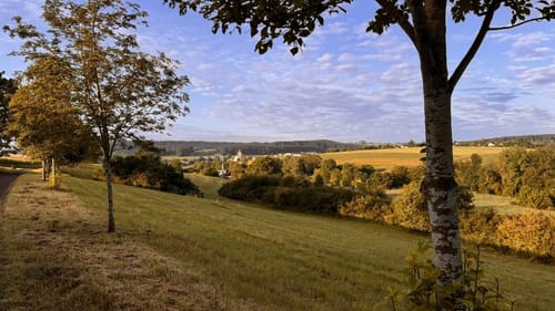 Lützenhardt - Bibelweg