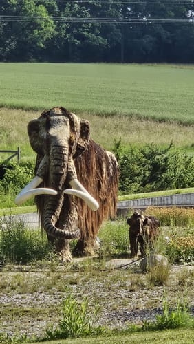 Neandertalerweg - auf Spuren der Eiszeitjäger