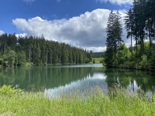 Liebesbankweg (Premiumwanderweg)