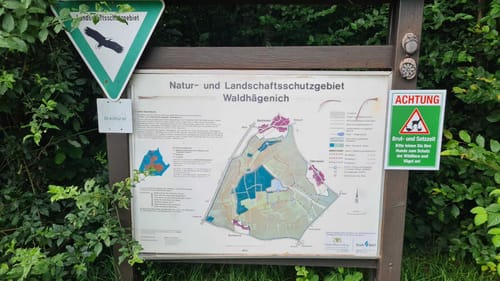 Naturschutzgebiet Waldhägenich ab Hatzenweier