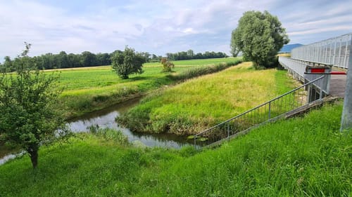 Naturschutzgebiet Waldhägenich ab Hatzenweier