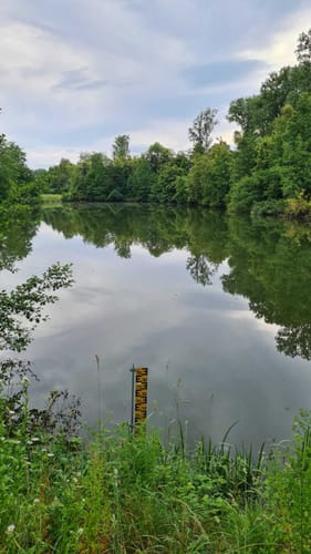 Naturschutzgebiet Waldhägenich ab Hatzenweier