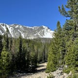 Mount Haggin Trail, Montana - 47 Reviews, Map | AllTrails