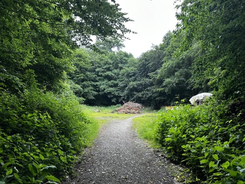 Luherheide: Försterteische - Staffpark