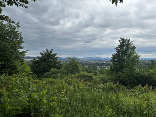 Luherheide: Försterteische - Staffpark