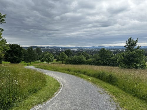 Luherheide: Försterteische - Staffpark