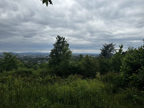 Luherheide: Försterteische - Staffpark