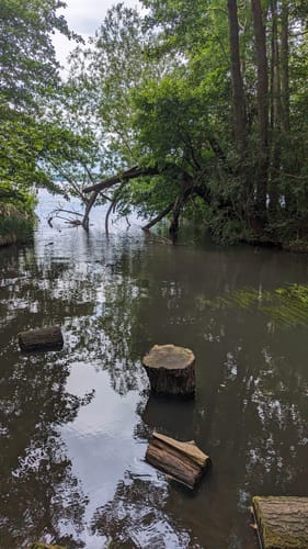 Um den Stienitzsee