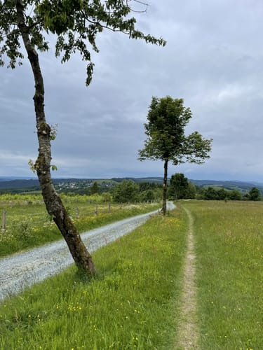 Rothaarsteig Etappe 3: Winterberg - Schanze