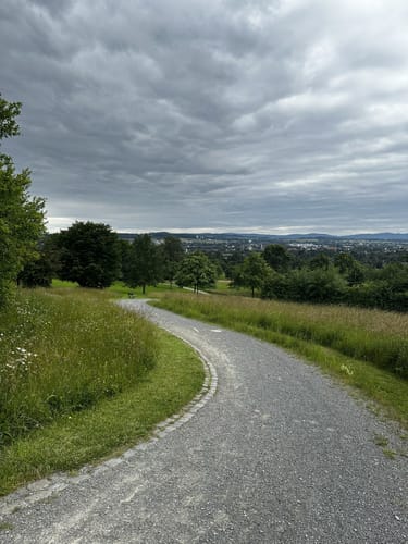 Luherheide: Försterteische - Staffpark