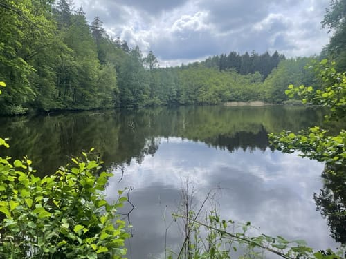 Breunigweiler Rundwanderung