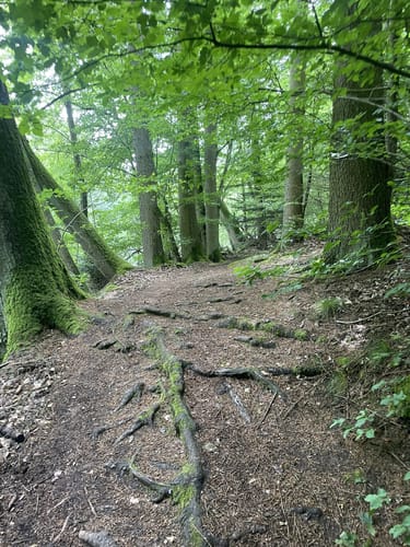 Breunigweiler Rundwanderung