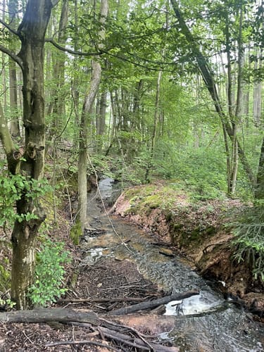 Breunigweiler Rundwanderung