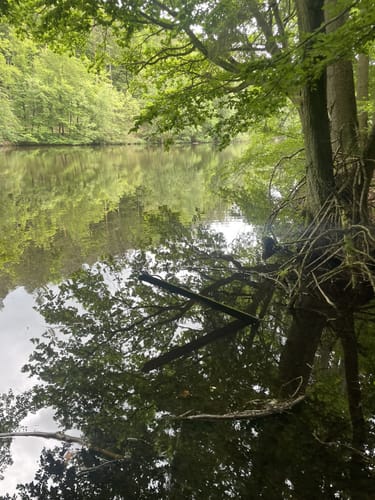 Breunigweiler Rundwanderung