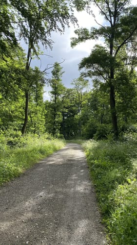 Vier-Seen-Runde bei Liblar