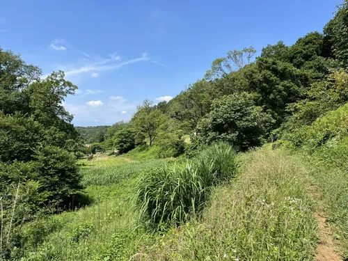山の流れ