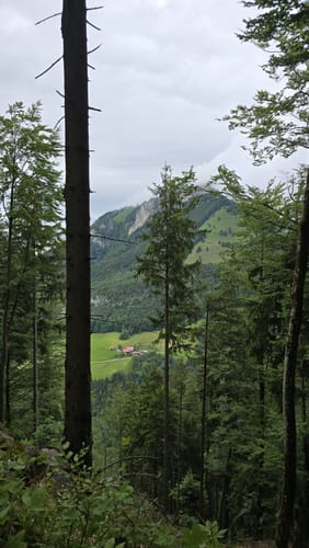 Von Windshausen zum Kranzhorn