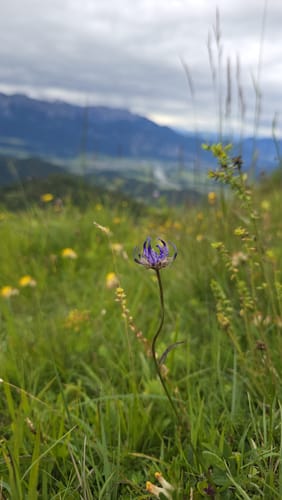 Von Windshausen zum Kranzhorn