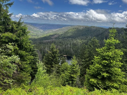 Seebach - Wildsee-Erlebnistour