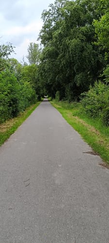 Rundwanderweg Schloss Darfeld und Diergaorden