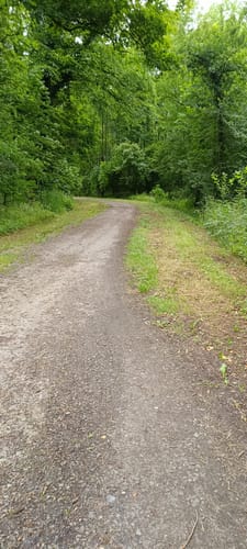 Rundwanderweg Schloss Darfeld und Diergaorden