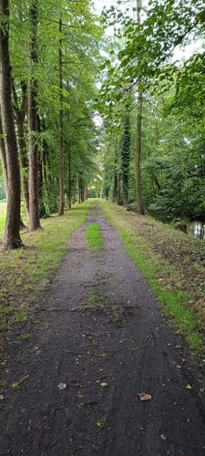 Rundwanderweg Schloss Darfeld und Diergaorden