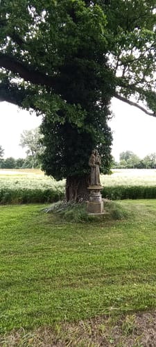 Rundwanderweg Schloss Darfeld und Diergaorden