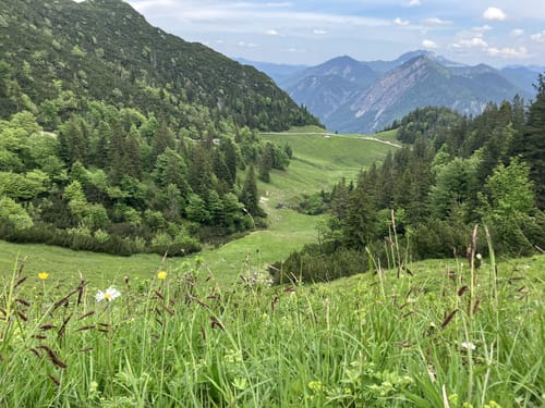 Herzogstand über Reitweg