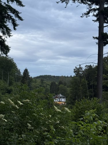 Laubachtal Rundwanderung