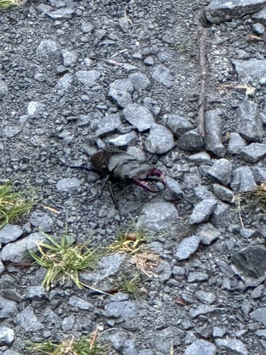 Laubachtal Rundwanderung
