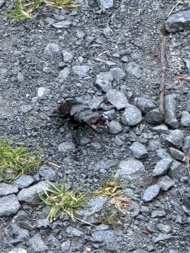 Laubachtal Rundwanderung