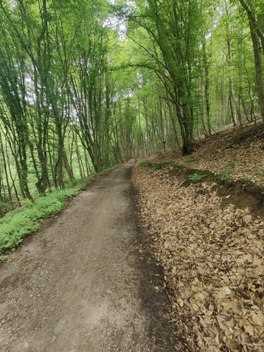 Kleinostheim: 10 Jahre länger leben… - grüne Route