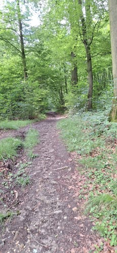 Über die Höhen der Baumberge zur Bruder-Klaus-Kapelle
