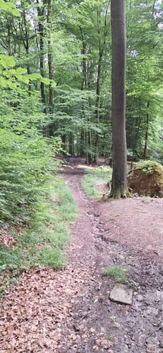 Über die Höhen der Baumberge zur Bruder-Klaus-Kapelle