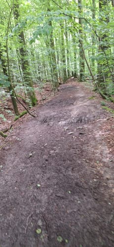 Über die Höhen der Baumberge zur Bruder-Klaus-Kapelle