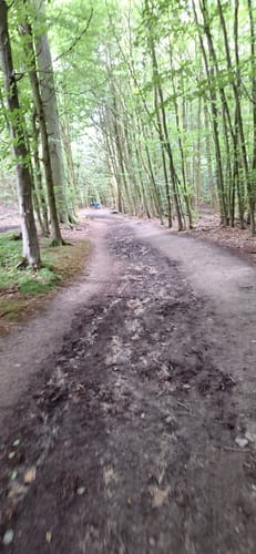 Über die Höhen der Baumberge zur Bruder-Klaus-Kapelle