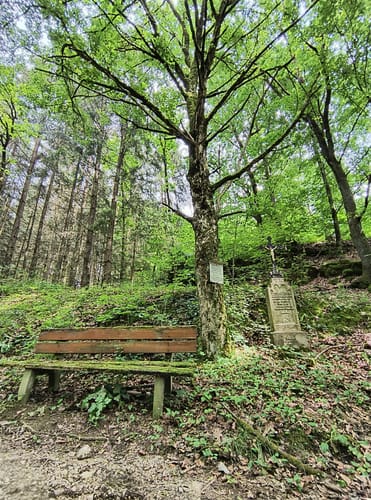 Burgensteigrunde bei Kallmünz