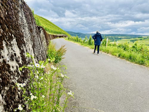 Von Mühlheim über die Weinberge