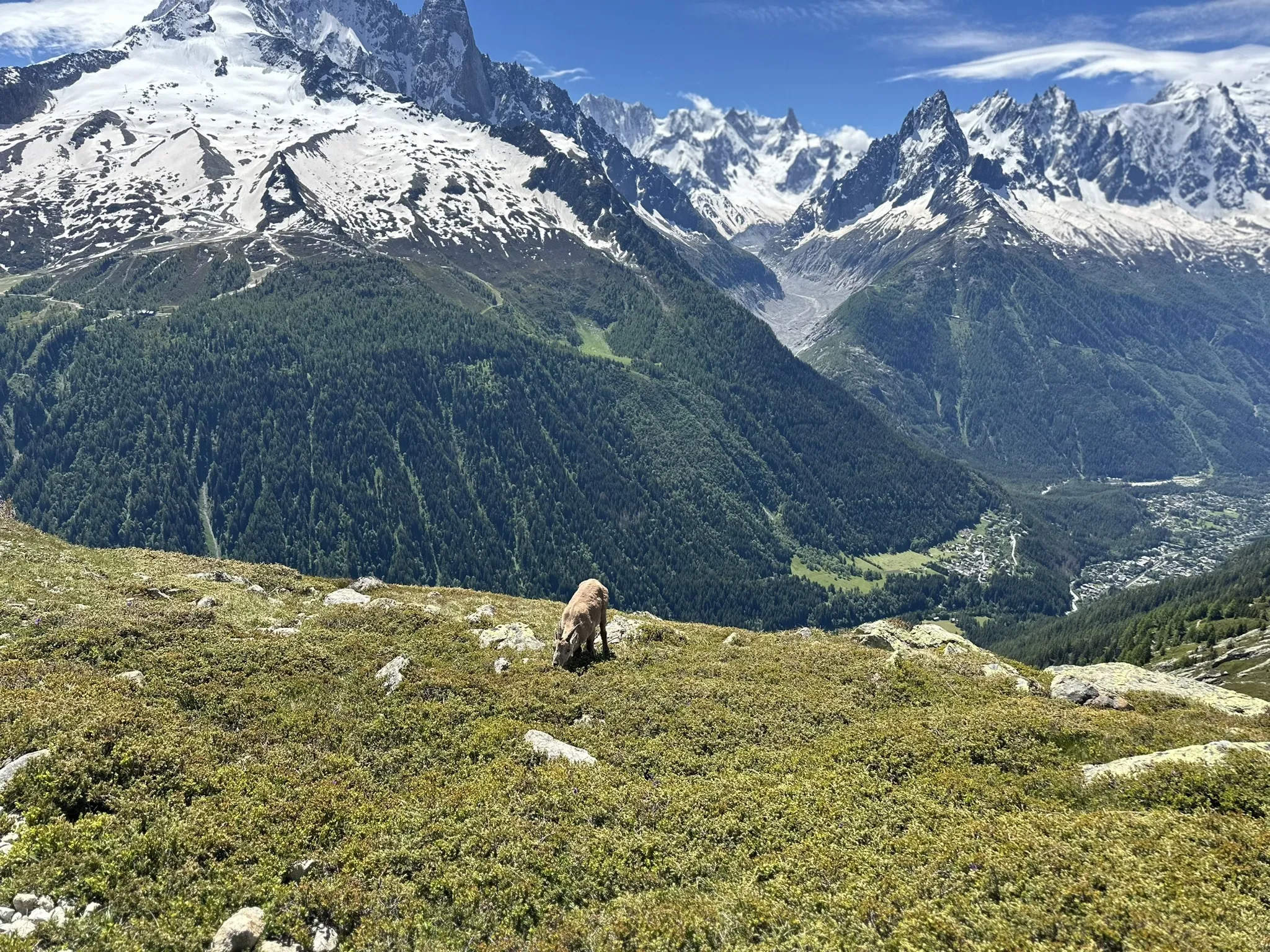 Photo of a trail from Zach Weber with title Lac Blanc via Grand Balcon Sud