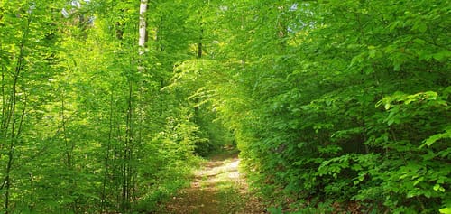Mengeringhausen - Mühlhausen via Twistetal
