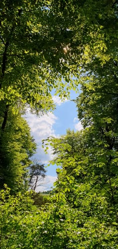 Mengeringhausen - Mühlhausen via Twistetal