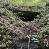 Chestnut and Blackhand Gorge Loop, Ohio - 333 Reviews, Map | AllTrails