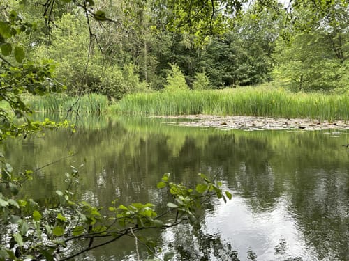 Der Überhöhische (Premiumwanderweg)