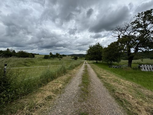 Der Überhöhische (Premiumwanderweg)