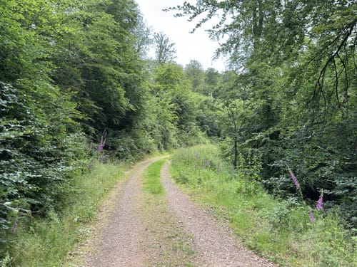 Der Überhöhische (Premiumwanderweg)