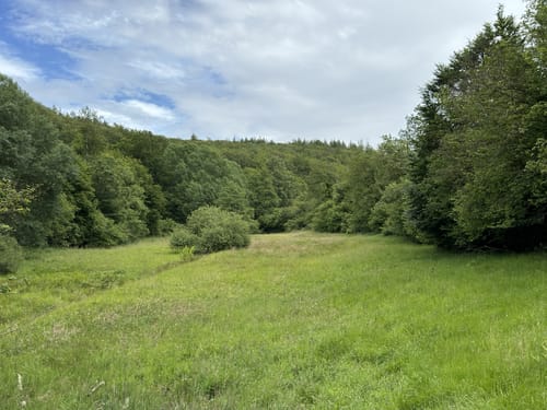Der Überhöhische (Premiumwanderweg)