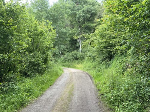 Der Überhöhische (Premiumwanderweg)