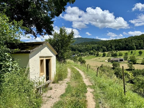 Von Müllheim über den Eichwald nach Rheintal